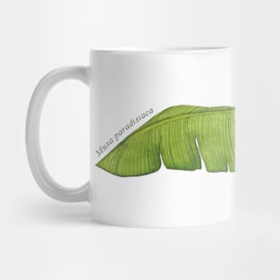 Musa Paradisiaca | Plant Mug